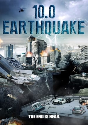 10.0 Earthquake 2014 Hindi Dual Audio 300MB Movie Poster