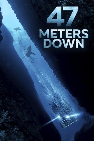 47 Metres Down (2017) Hindi Dual Audio 300MB Movie Poster