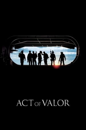 Act of Valor (2012) Hindi Dual Audio [1.1GB] Movie Poster