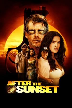 After The Sunset (2004) Hindi Dual Audio [780MB] Movie Poster