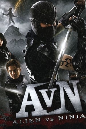 Alien vs Ninja 2010 Hindi Dual Audio [650MB] Movie Poster
