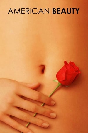 American Beauty (1999) Hindi Dual Audio [900MB] Movie Poster
