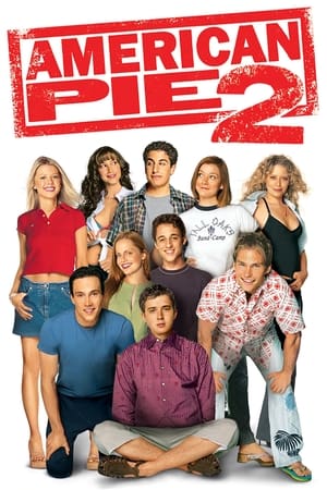 American Pie 2 (2001) Hindi Dual Audio 375MB Movie Poster