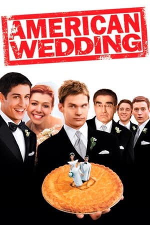 American Wedding (2003) Hindi Dual Audio 300MB Movie Poster