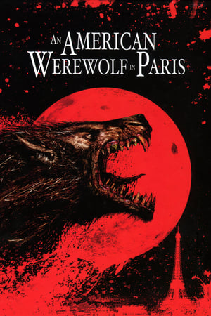 An American Werewolf in Paris 1997 Hindi Dual Audio [860MB] Movie Poster