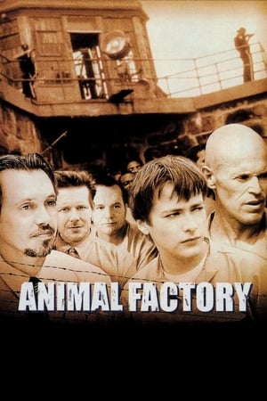 Animal Factory (2000) Hindi Dual Audio 300MB Movie Poster