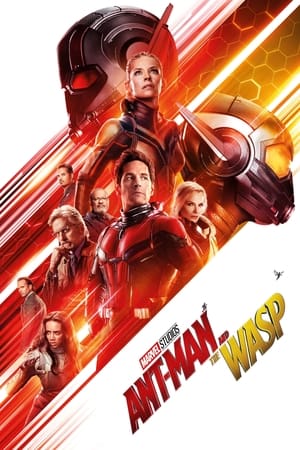 Ant Man and the Wasp (2018) Hindi Dual Audio 350MB Movie Poster