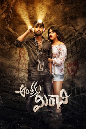 Anthaku Minchi (2018) Hindi Dubbed [1GB] Movie Poster