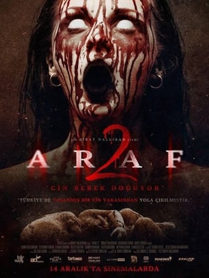 Araf 2 2019 Hindi Dual Audio [750MB] Movie Poster