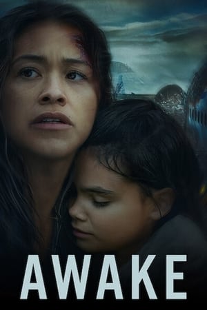 Awake (2021) Hindi Dual Audio [880MB] Movie Poster