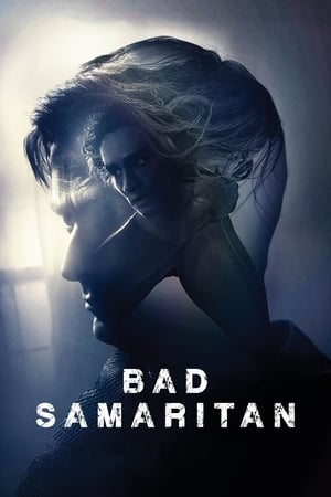 Bad Samaritan (2018) Hindi Dual Audio 400MB Movie Poster