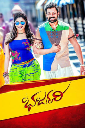 Bharjari 2017 Dual Audio Hindi Full Movie - 1.7GB Movie Poster