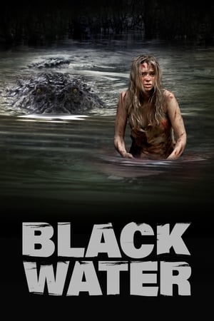 Black Water (2007) Hindi Dual Audio 300MB Movie Poster