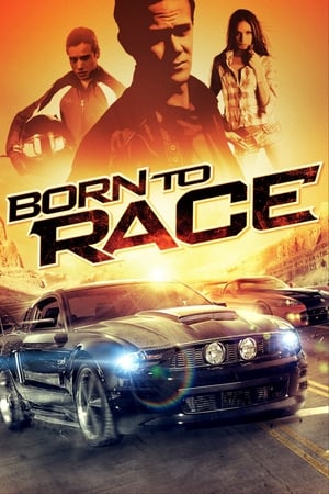 Born to Race 2011 Hindi Dual Audio 300MB Movie Poster
