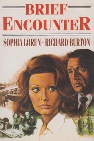Brief Encounter 1974 Hindi Dual Audio [1.3GB] Movie Poster