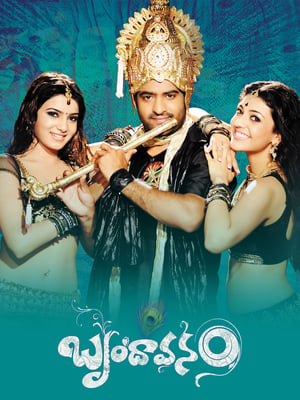 Brindavanam (The Super Khiladi) (2010) (Hindi – Telugu) Dual Audio [1.4GB] Movie Poster