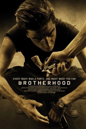 Brotherhood (2010) Hindi Dual Audio – Movie Poster