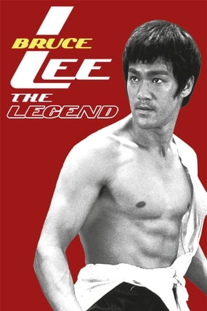 Bruce Lee the Legend 1984 Hindi Dual Audio HDTVRip [1GB] Movie Poster
