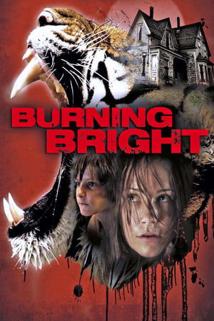 Burning Bright (2010) Hindi Dual Audio [750MB] Movie Poster