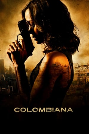 Colombiana (2011) Hindi Dual Audio 350MB Movie Poster