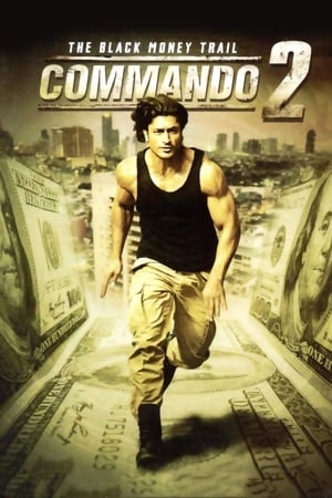 Commando 2 2017 300MB Full Movie Download Movie Poster
