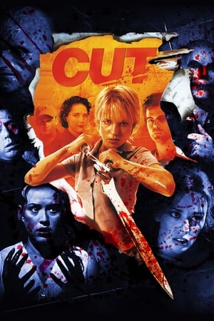 Cut (2000) Hindi Dual Audio [1.1GB] Movie Poster