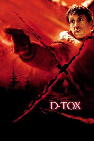 D-Tox Eye See You 2002 Hindi Dual Audio 300MB Movie Poster