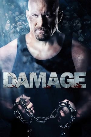 Damage 2009 Hindi Dual Audio 330MB Movie Poster