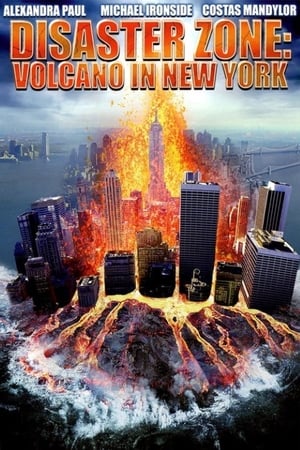 Disaster Zone Volcano in New York 2006 Hindi Dual Audio 300MB Movie Poster