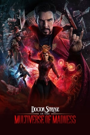 Doctor Strange in the Multiverse of Madness (2022) Hindi (ORG) Dual Audio Movie Poster