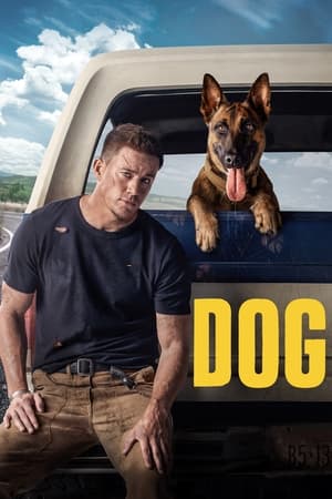 Dog (2022) Hindi Dual Audio – Movie Poster