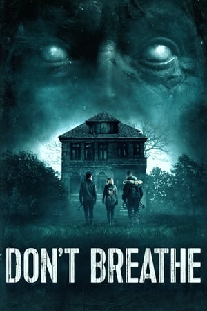 Don't Breathe (2016) Hindi Dual Audio 300MB Movie Poster