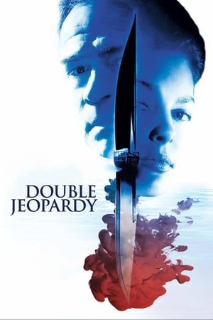 Double Jeopardy 1999 Hindi Dual Audio [920MB] Movie Poster