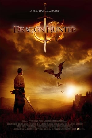 Dragon Hunter (2009) Hindi Dual Audio [1GB] Movie Poster