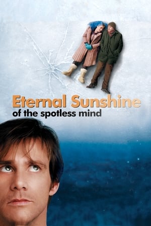 Eternal Sunshine Of The Spotless Mind 2004 Hindi Dual Audio [780MB] Movie Poster