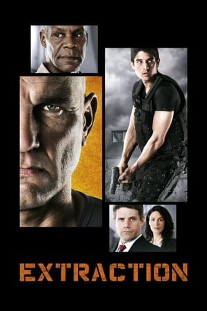 Extraction 2013 Hindi Dual Audio 330MB Movie Poster