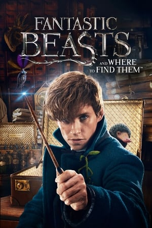 Fantastic Beasts and Where to Find Them 2016 HD- [600MB]