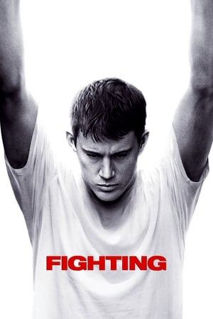Fighting (2009) 100mb Hindi Dual Audio Download Movie Poster