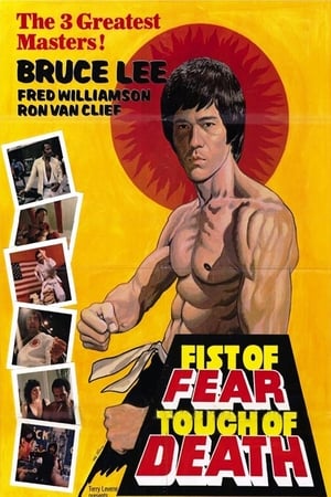 Fist of Fear Touch of Death 1980 Hindi Dual Audio 300MB Movie Poster