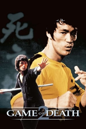 Game of Death II (1981) Dual Audio Hindi Movie - 1.1GB Movie Poster