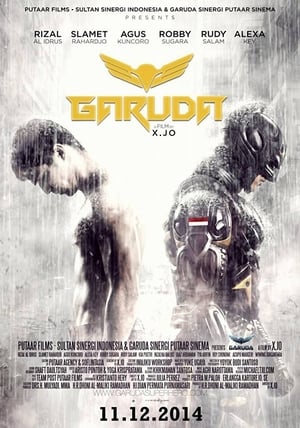 Garuda Superhero (2015) Hindi Dubbed 300MB Movie Poster