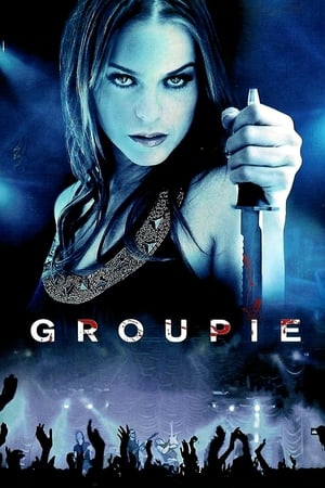 Groupie (2010) Hindi Dual Audio 300MB Movie Poster