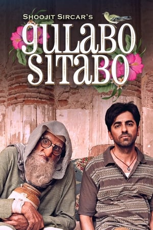 Gulabo Sitabo 2020 Hindi Movie [980MB] Movie Poster