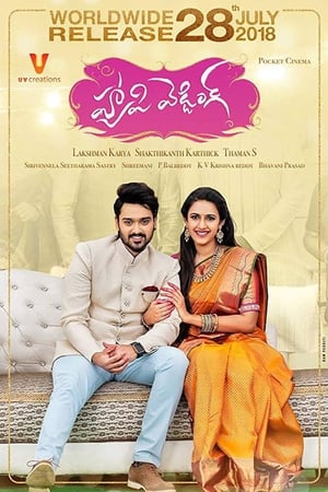 Happy Wedding (2018) (Hindi - Telugu) Dual Audio 450MB Movie Poster