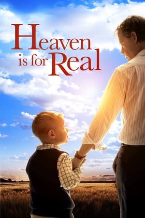Heaven Is for Real (2014) Hindi Dual Audio [850MB] ESubs Movie Poster