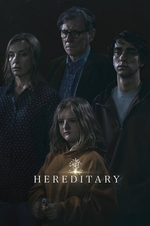 Hereditary 2018 Hindi Dual Audio – Movie Poster