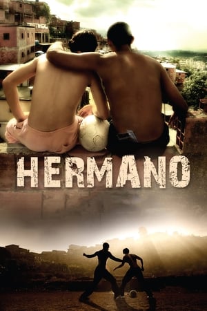 Hermano 2010 Hindi Dual Audio [1.2GB] Movie Poster