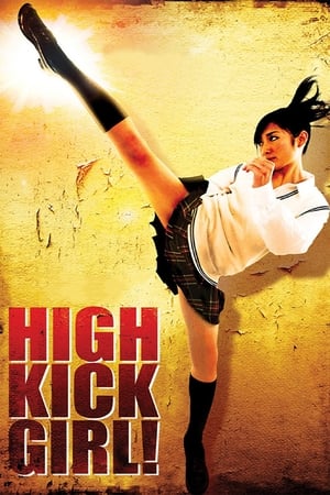High Kick Girl (2009) 100mb Hindi Dual Audio movie Download Movie Poster