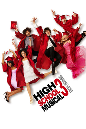 High School Musical 3 (2008) Hindi Dual Audio 350MB Movie Poster