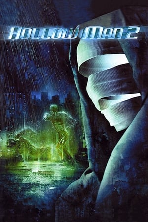 Hollow Man 2 2006 100mb Hindi Dual Audio movie Download Movie Poster